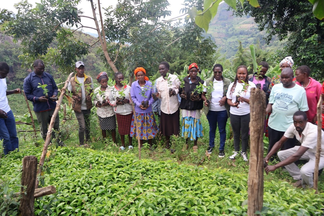 Kerio Valley Disaster Prevention