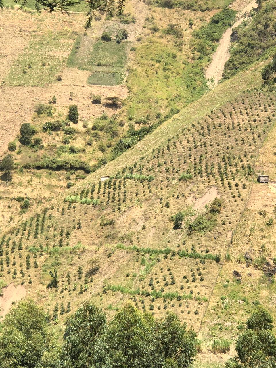 Theory of Change Background